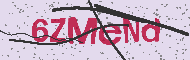 Güvenlik Kodu